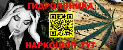 молекула духа Кулебаки