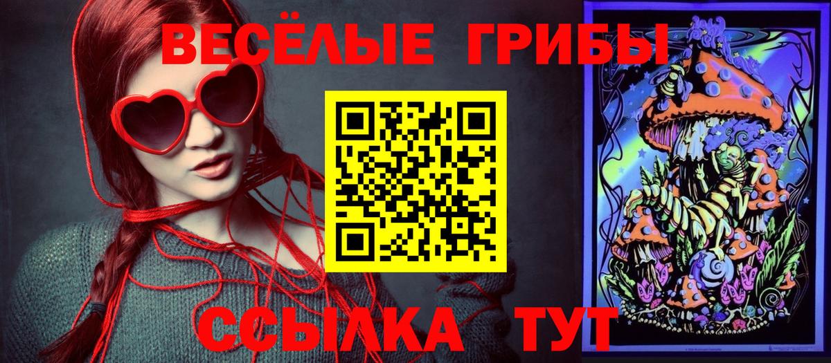 Псилоцибиновые грибы GOLDEN TEACHER Кемерово